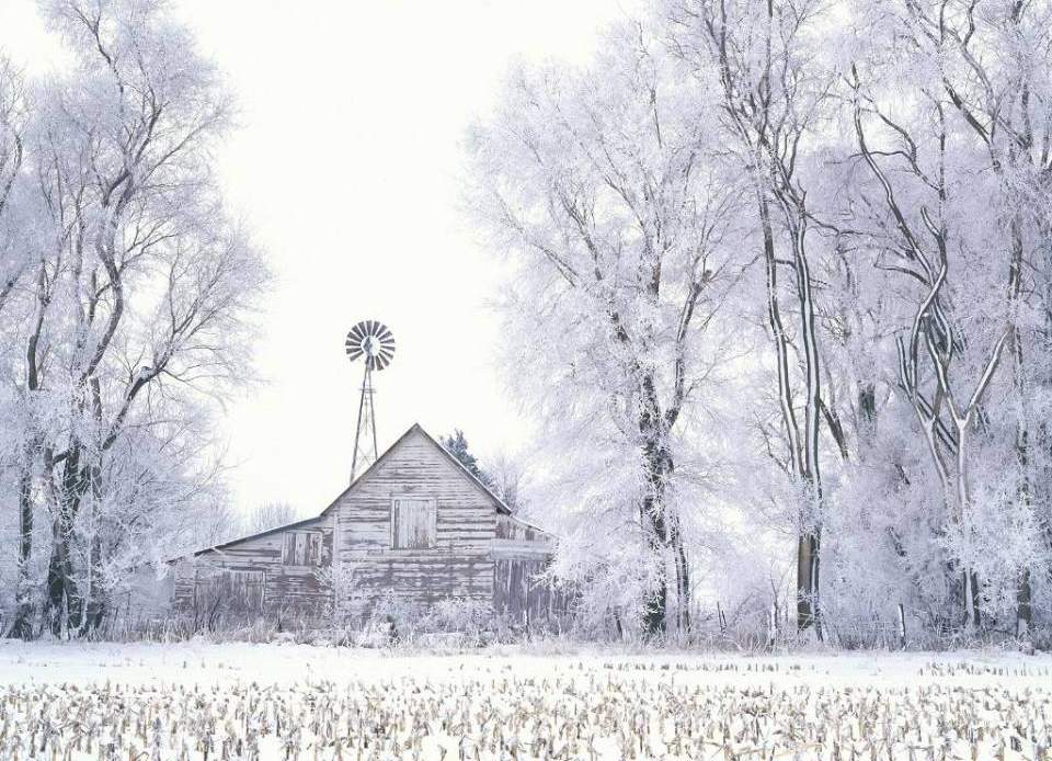 Frosted Farmland -La Salle County - Illinois