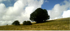 Parco dei Monti Sibillini il 13/08/06