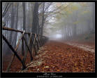monte cucco