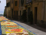 Infiorata a Tuoro sul Trasimeno