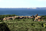 Lago di Bolsena (Viterbo)