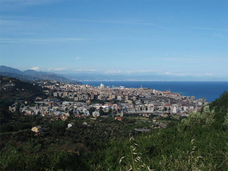 Savona